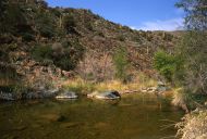 Cave Creek (Arizona)