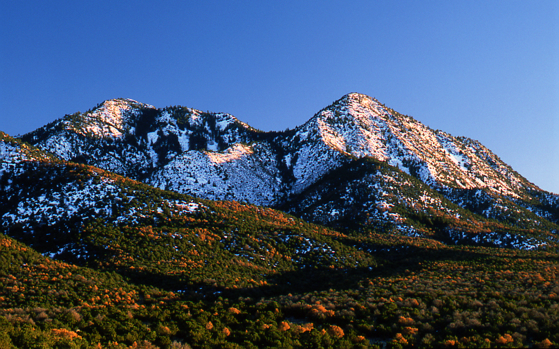 Ortiz Mountains from Stagecoach Pass