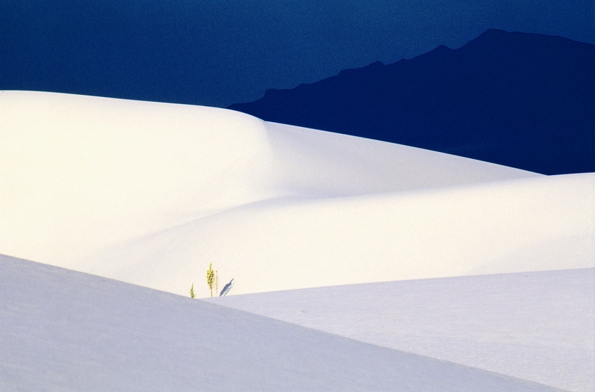 White Sands, Early Morning
