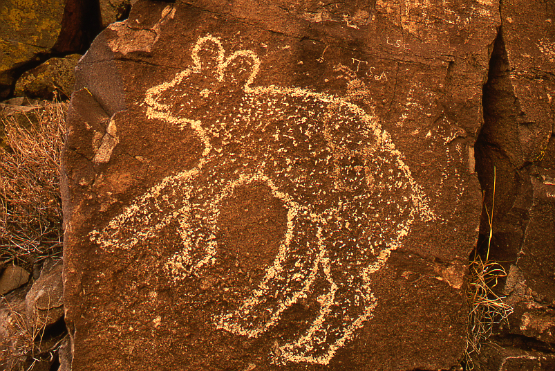 Bear Petroglyph